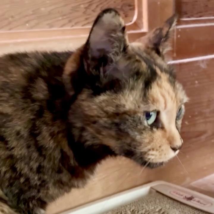 1c93938e a02c 4ccf 8241 8be9ae8d1089 1746584791888