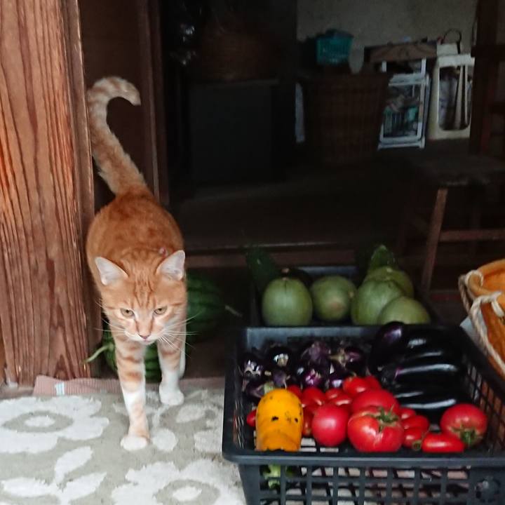 1c93a265 2959 4b4e 860f 8ac76d005206 1567069001809