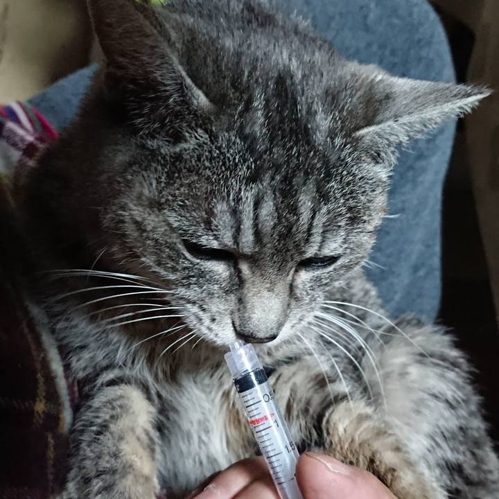 1c93ad25 1f05 4efe 9f91 6e53e7ce607d 1578087084967