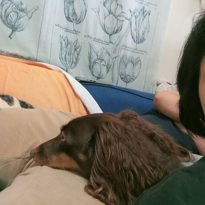 1c93be13 08d6 4c4a aade 7a4636975c64 1757891443375