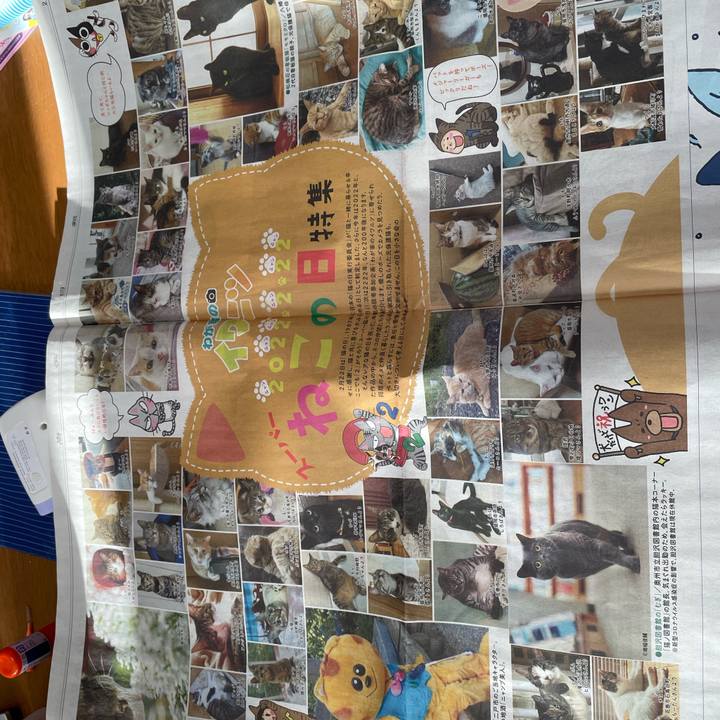 1c93e1d3 6215 4f39 a67f 4c6619a5f1d8 1645570497245