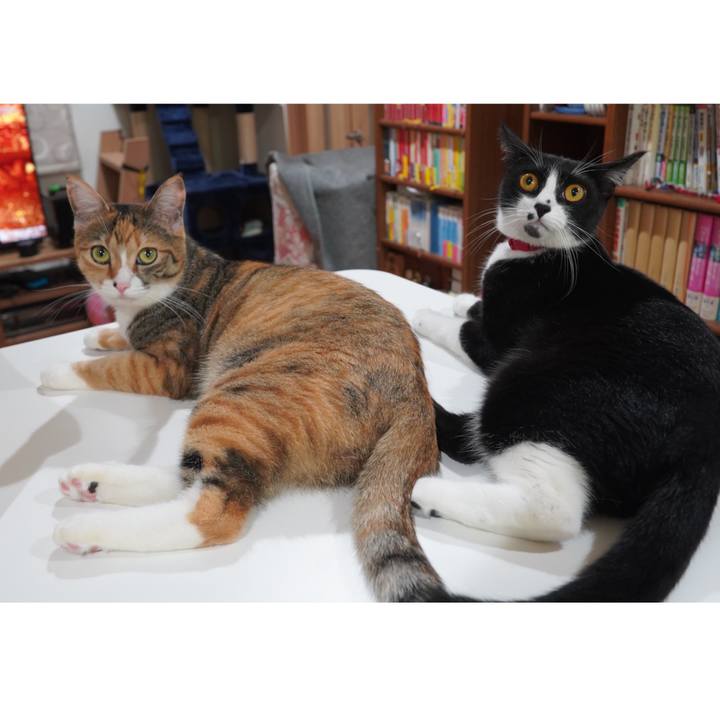 1c93fb55 7404 4505 b746 ad409e39e992 1599998960466