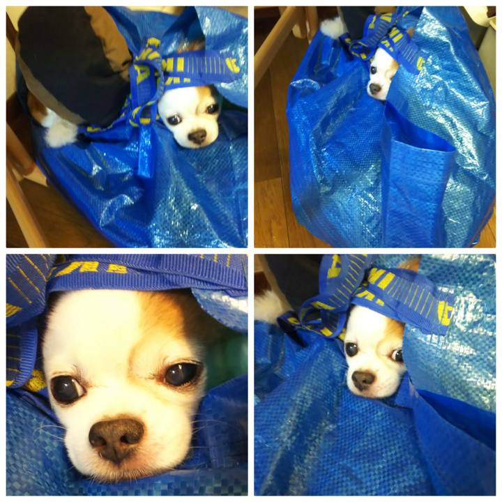 1c940ac4 6067 473f 95c0 06e8170839ca 1592969982200