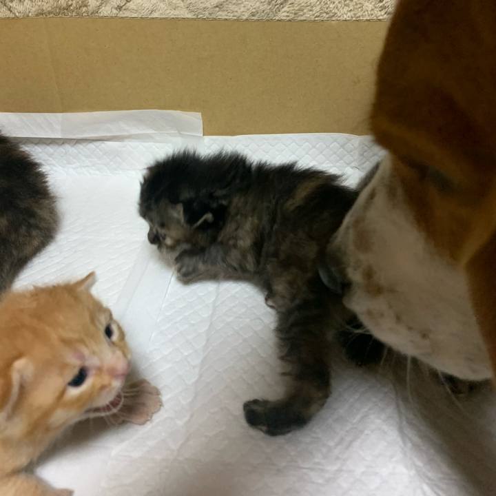 1c940e04 bd89 46e7 80cd 4c5f485827ca 1587113555022