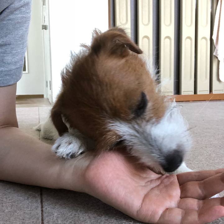 1c942343 2ef1 4b01 9f20 b28444b6b70c 1530335691207