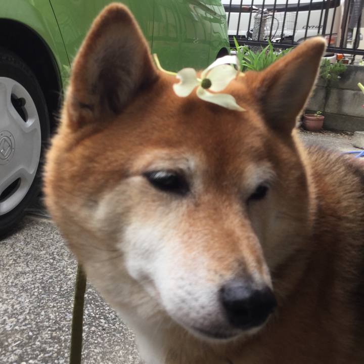 1c944d58 fbd0 4dd8 a47b f39ee2e402cb 1589092827365