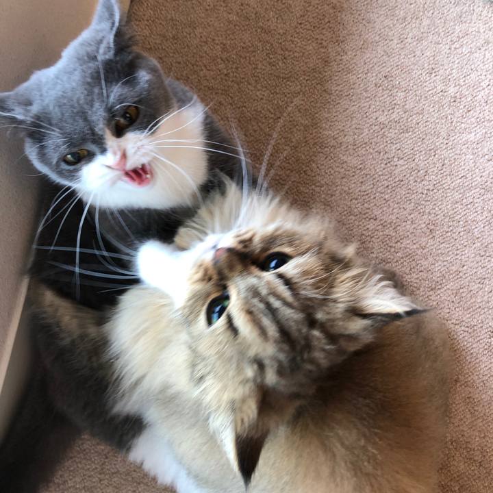 1c945d79 fa57 48fa 809b 38b99cdc3960 1538267387013