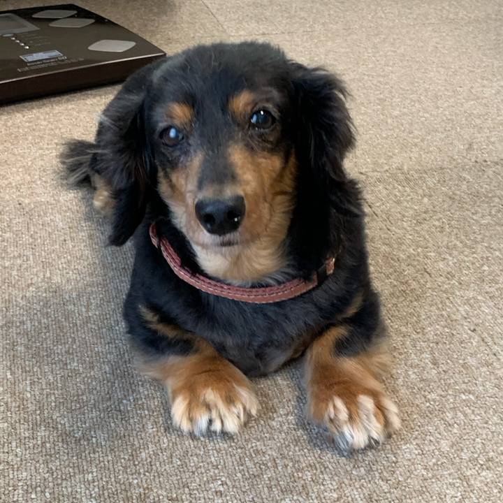 1c94cfa0 52d9 4a8a 8b67 7d4ef7dc74cd 1603493747791