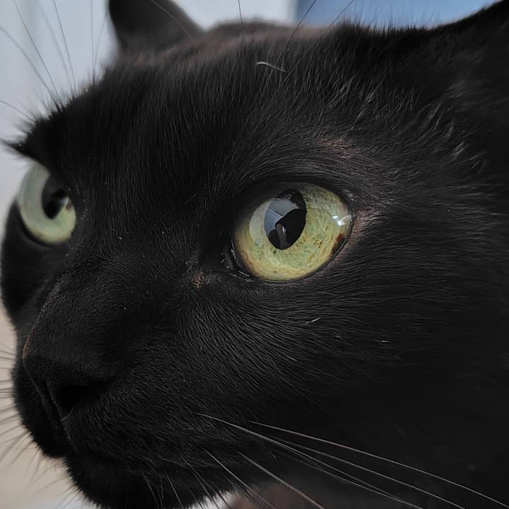 1c94dfbf 5922 4c68 8526 5afd79e2291c 1743250411215