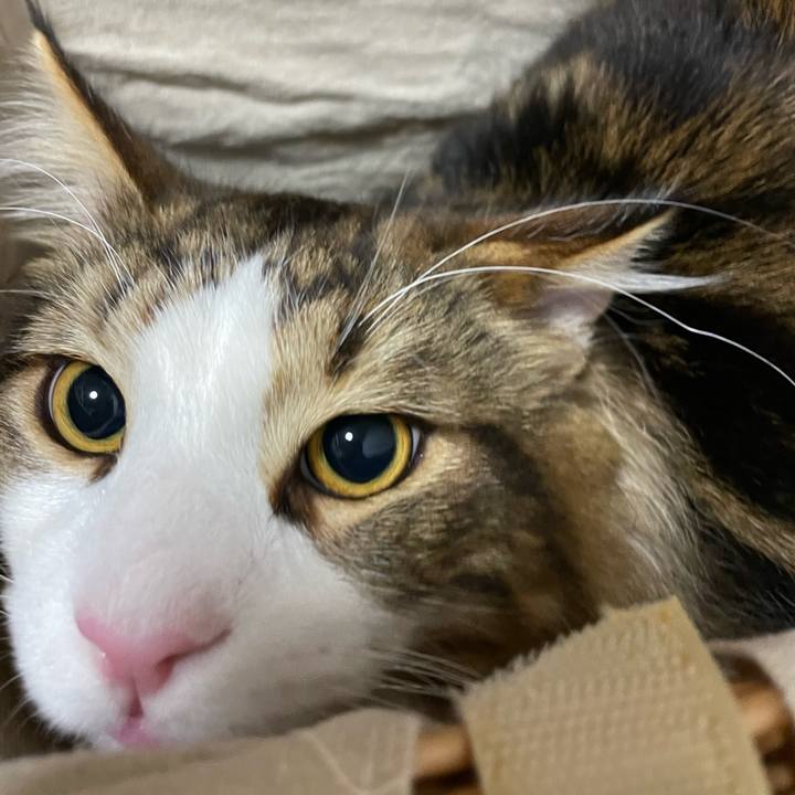 1c94fcb4 b1dd 413d 8feb 71b27b880087 1644408408130