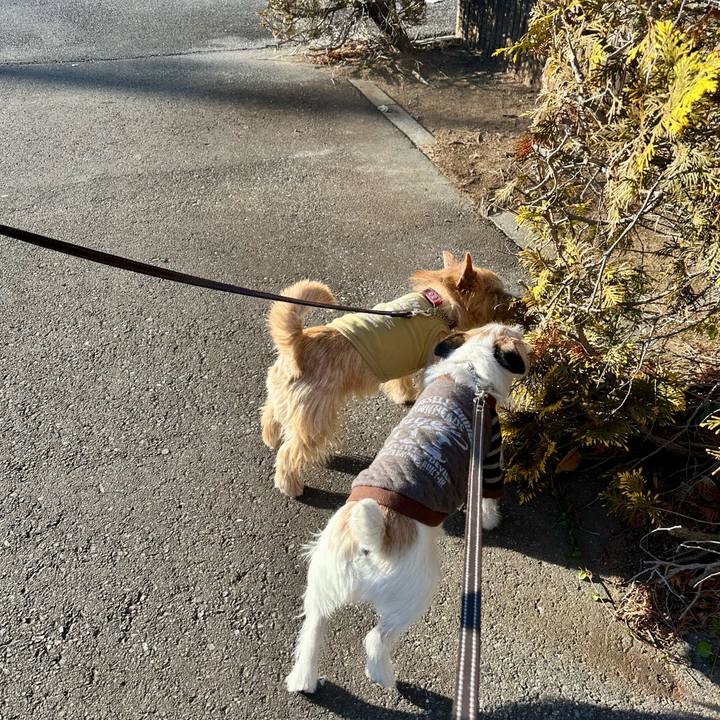 1c950159 0f43 4bbf a0a2 7de2e4a10838 1735523232364