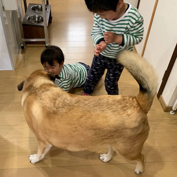 1c951850 6191 46e0 a4b1 83f3645d4997 1554288570303