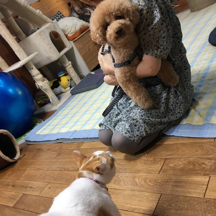 1c9518c0 5715 470b b471 fc31f5d6cc24 1533118548266