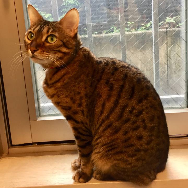 1c952d7b 6711 4753 a404 a9650dab9627 1529796889563