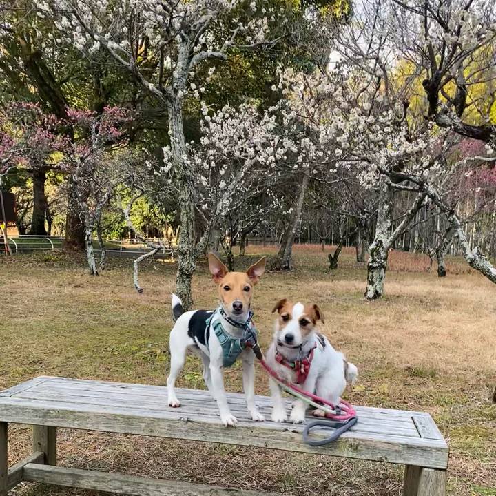 1c953b17 fe21 41c1 9946 8e4aa4a9759d 1770799123498