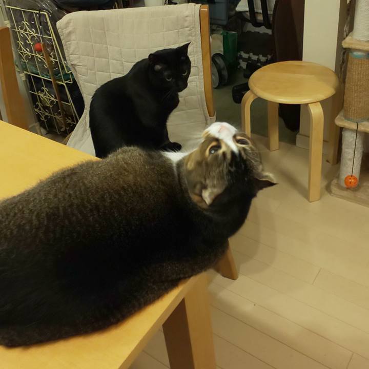 1c957bf9 601a 40cb 8733 550a4b0f9990 1705357655362