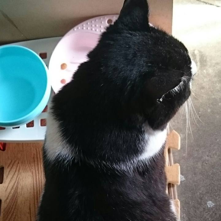 1c95ac32 d543 4d6e b2a7 621adfdc5431 1525132774479