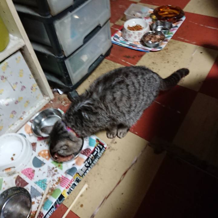 1c95c3ba cb83 4248 a52a fa0806dc9a58 1590352740345