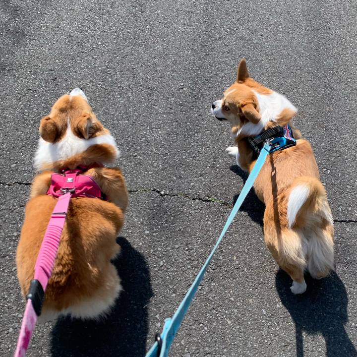 1c962710 4adf 46d7 9f46 8f49aecc7289 1710564687007