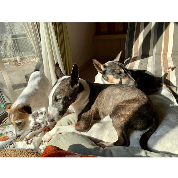 1c962af7 2c1a 4d78 b183 c8af0a4405f3 1612688114890