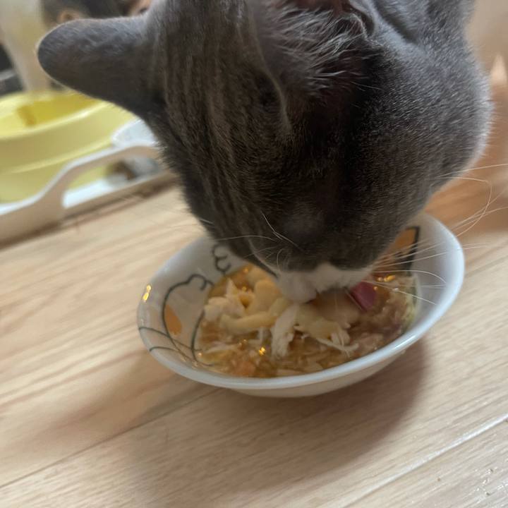 1c962ce6 4871 4938 b9f7 4c6b64b0e139 1628420216615