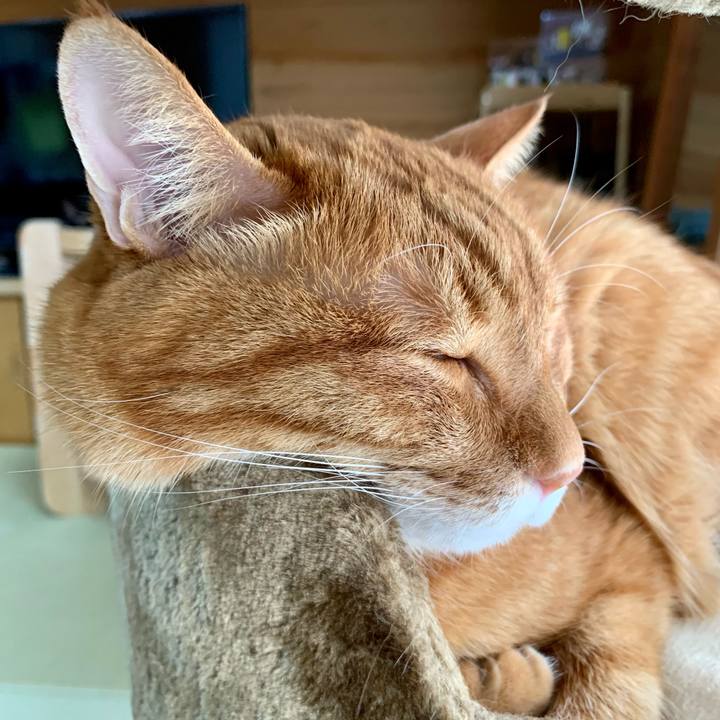 1c9640aa a221 453a a958 b4419e9320b2 1645841594481