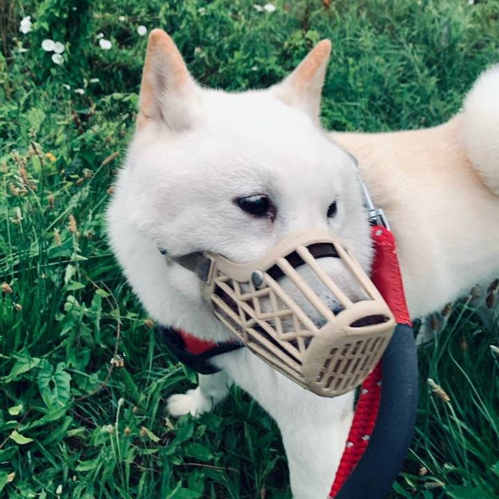 1c964150 850c 4db3 8292 0cca04970e85 1659297766554