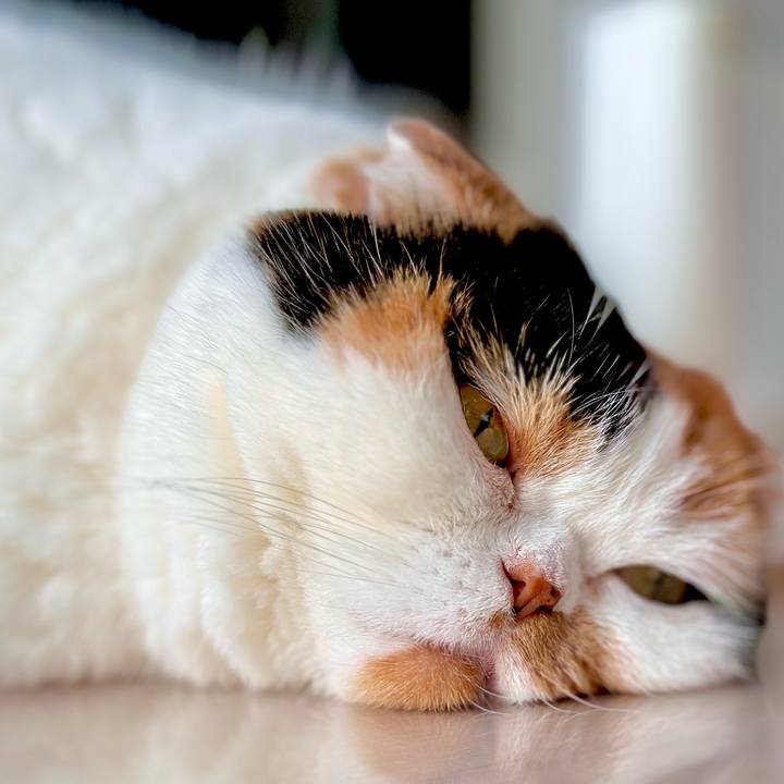 1c964155 3208 45d9 9128 de394c638bb2 1670992405946