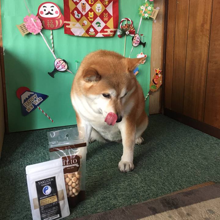 1c964182 26bb 44e4 ac42 b64065a00338 1646187137272