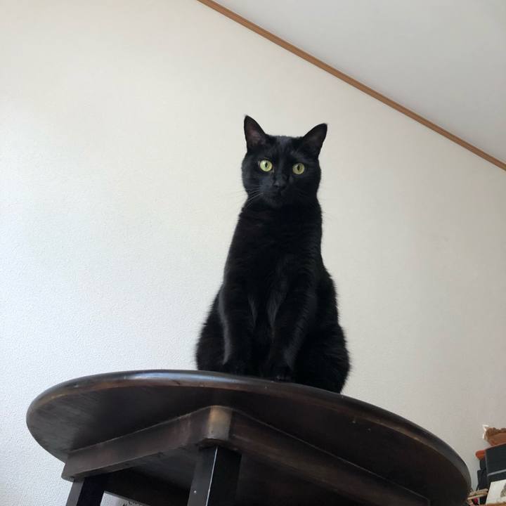 1c9674e3 368f 4c1d b1f7 02f8c2a22728 1565391320728