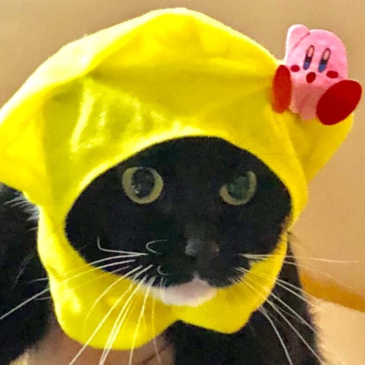 1c968252 66d8 4901 bfed 80afa6276e2b 1536996094093