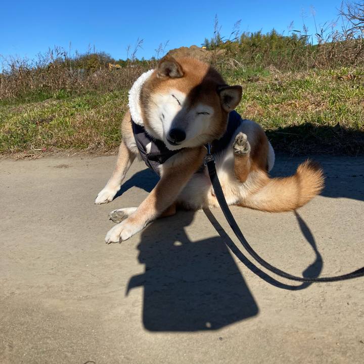 1c96dd8f bd95 4ca2 a496 ec8a130feebf 1733806418145