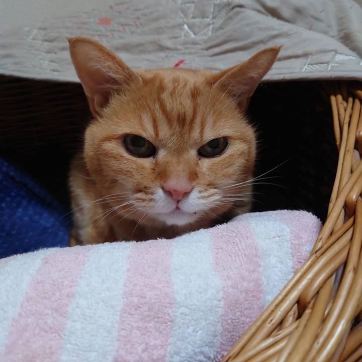 1c9716b0 5752 42d1 b4be cc8f27bb47ba 1738281605894