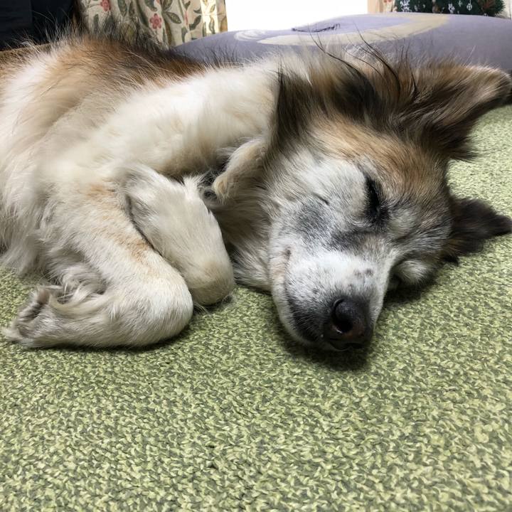 1c97207a e7c7 4824 8085 de31be165f41 1516153394968