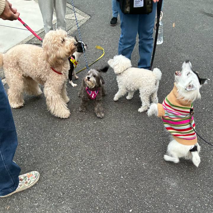 1c972f8b 368c 49e3 96cf 63d6528c2691 1762847630325