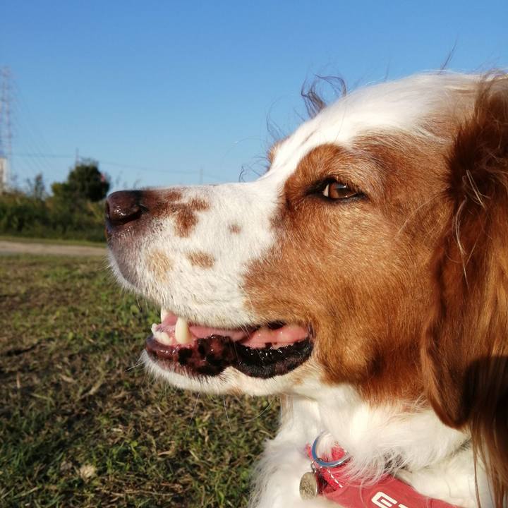 1c976237 304b 4ad3 88b8 a1ad495e1bea 1602898414859