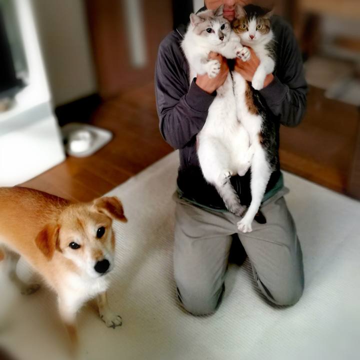 1c97718b 700d 4e21 99c8 30d297eb845c 1539491410884