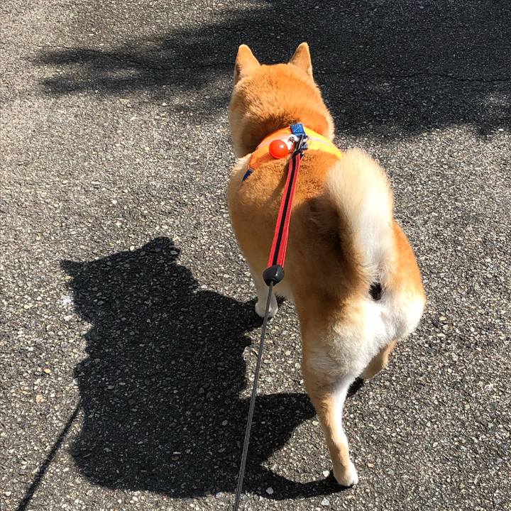 1c977c82 1903 49f1 9801 1c6f064baf1b 1593393386298