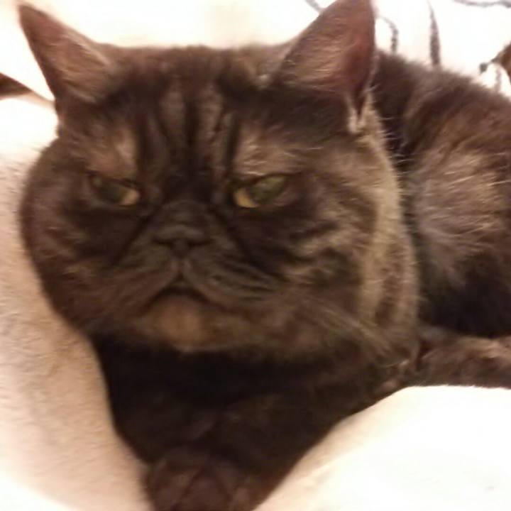 1c979734 003e 49cd 8fd8 eaaa5cc09814 1525572148231