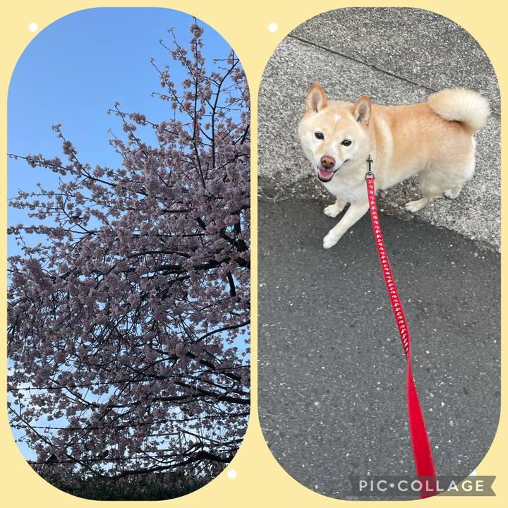 1c97bcb0 1548 45b7 89e2 ee27d352f44a 1710714548394