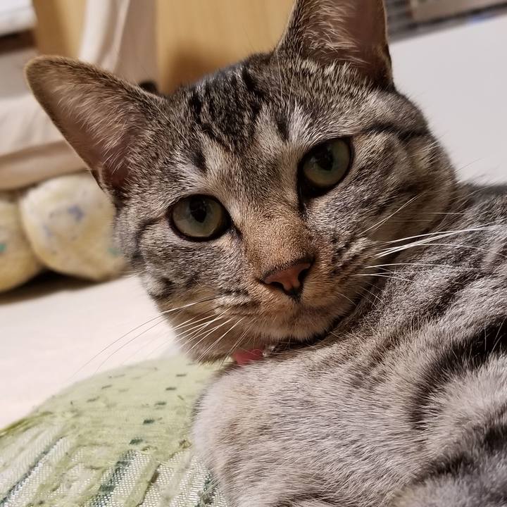 1c981ef6 2ede 4d2d 8119 42bf4c9c4b73 1688463837968