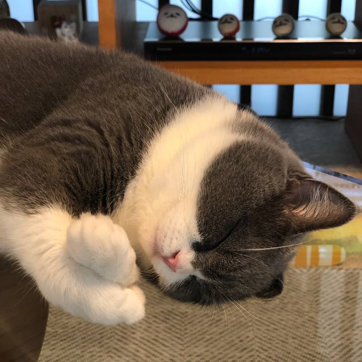 1c982320 6c33 4e74 a9e5 0935746580ba 1566191930577