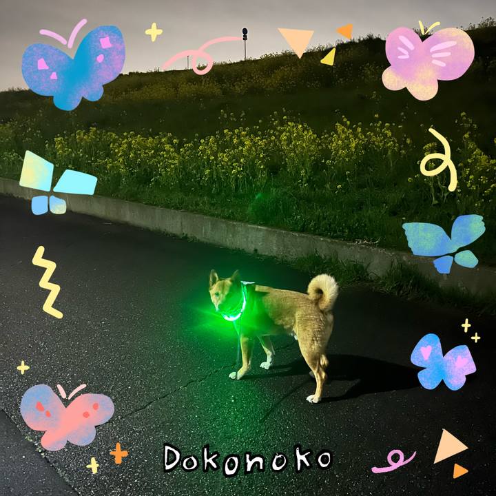 1c983a2f d95a 429b b9f6 5bc052f8d835 1711288627574