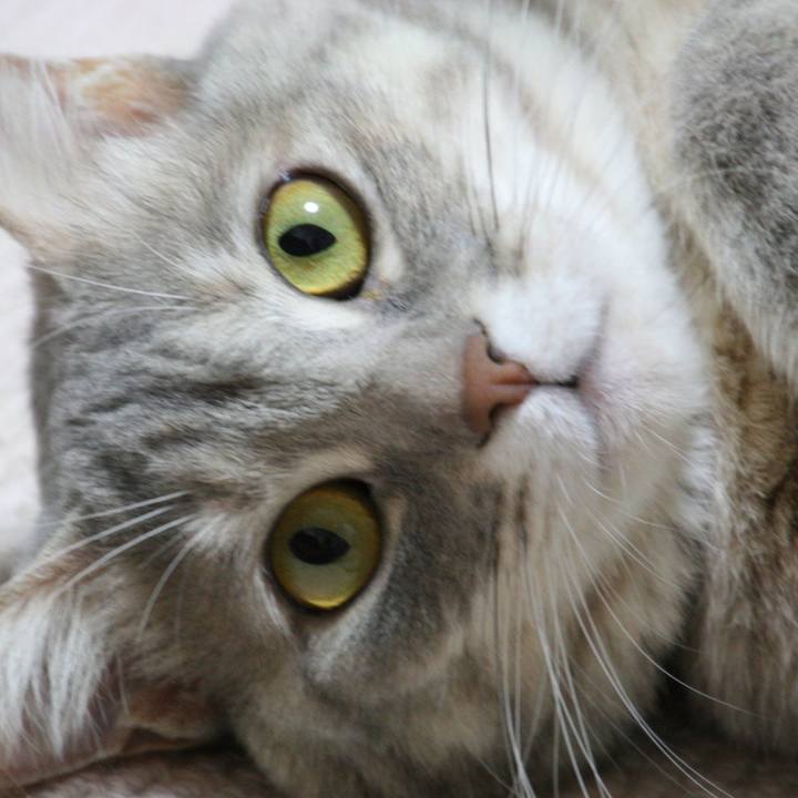 1c986b72 3ddf 41f4 94ca e2a08d483baf 1519356553928