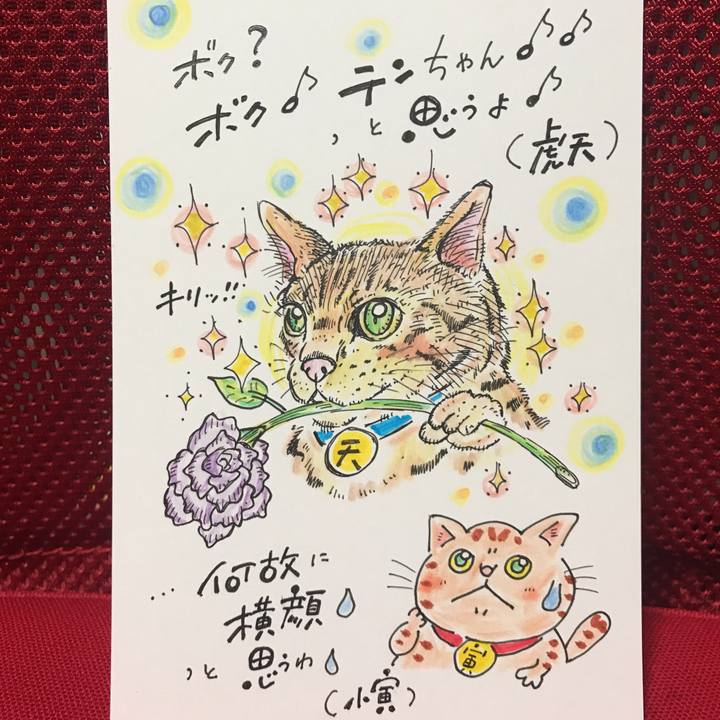 1c989141 ddf3 4cd4 924e 8e3c2a84db5e 1559655894734