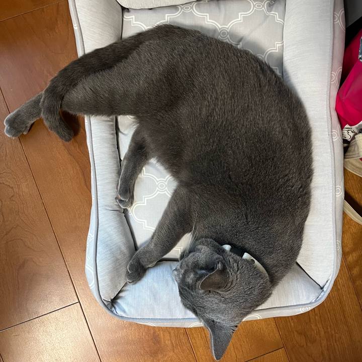 1c98a440 de47 4184 a2ac 50dca2e48c24 1723529055318