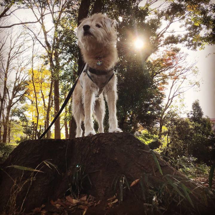 1c98a917 6049 48ca 9ffa 5ef1bb1e74aa 1606813302824