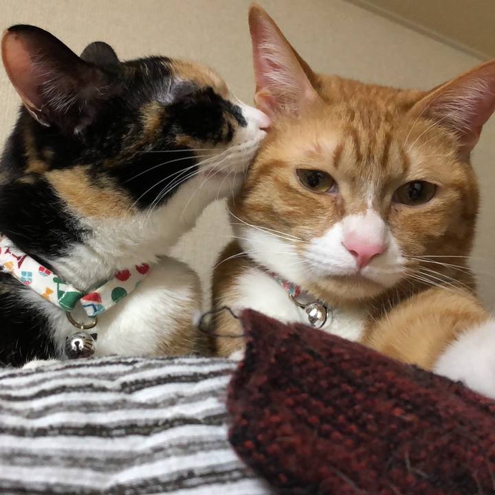 1c98fb88 301b 45f8 97f9 41c17134696c 1586784083987