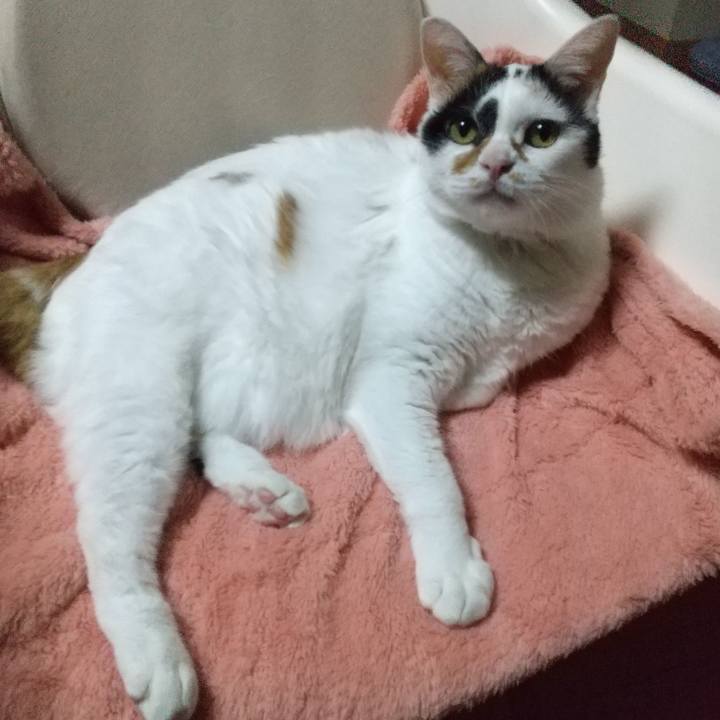 1c991594 f0d7 4f35 9a0a 163a15f8002e 1697234250885