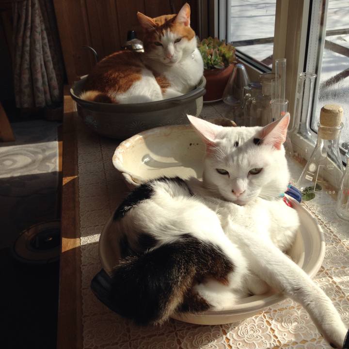 1c991a11 251b 4a05 9e6a b93909547a73 1520036818794